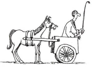 cart-before-the-horse